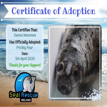 Prickly Pear Cert.jpg